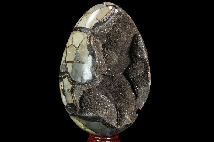 Septarian Dragon Egg Geode - Black Crystals #98872